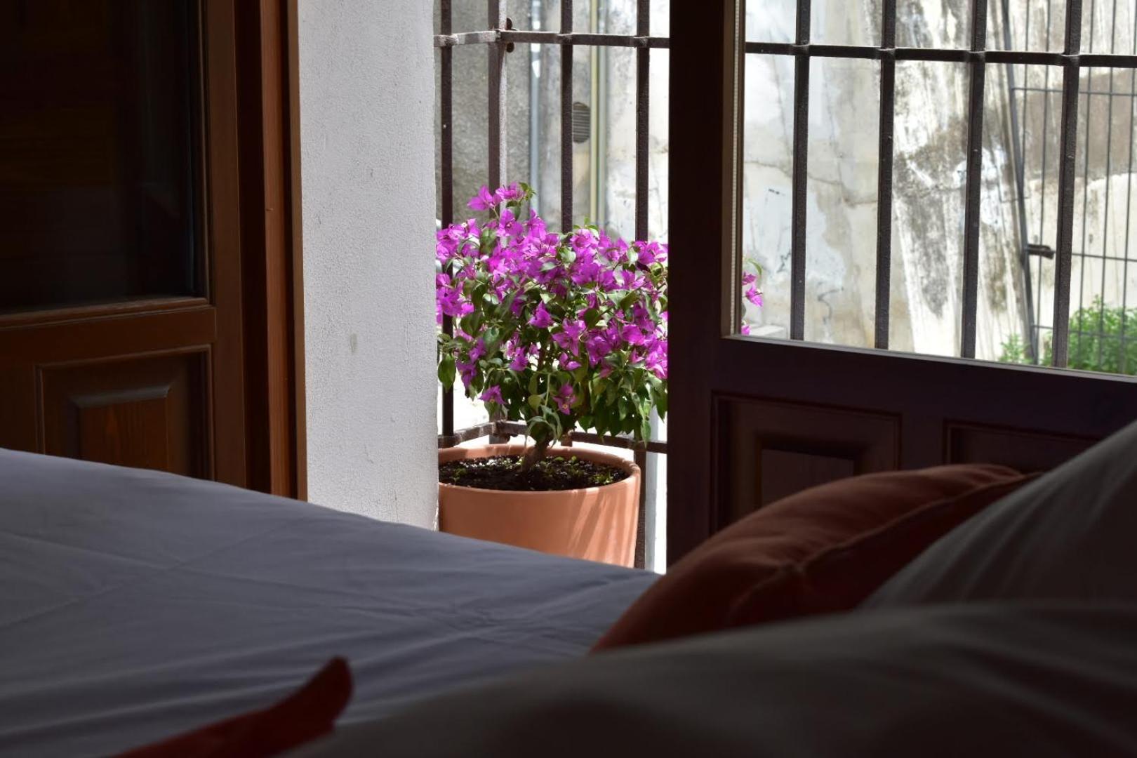 Apartamentos Alhambra Γρανάδα Εξωτερικό φωτογραφία